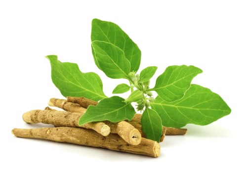 The Power of Ashwagandha: An Expert's Perspective